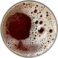 https://thelonegirl.thedodek.com/wp-content/uploads/2017/05/beer_transparent_02.png