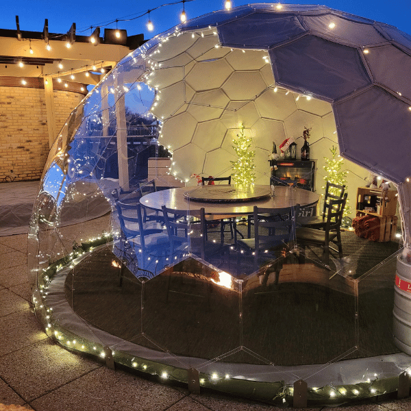 https://thelonegirl.thedodek.com/wp-content/uploads/2025/03/igloo-27.png